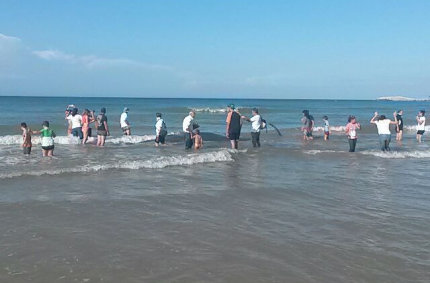 l'oasi di Punta Penna