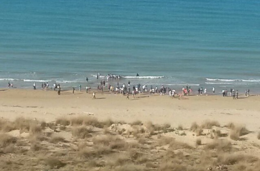 Le immagini del disastro