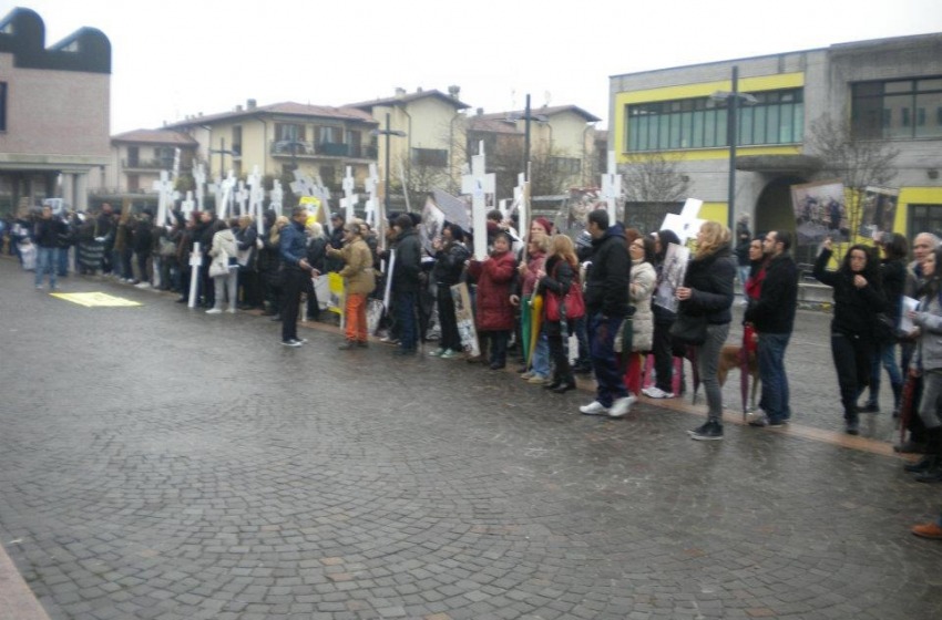 Green Hill - Il canile lager