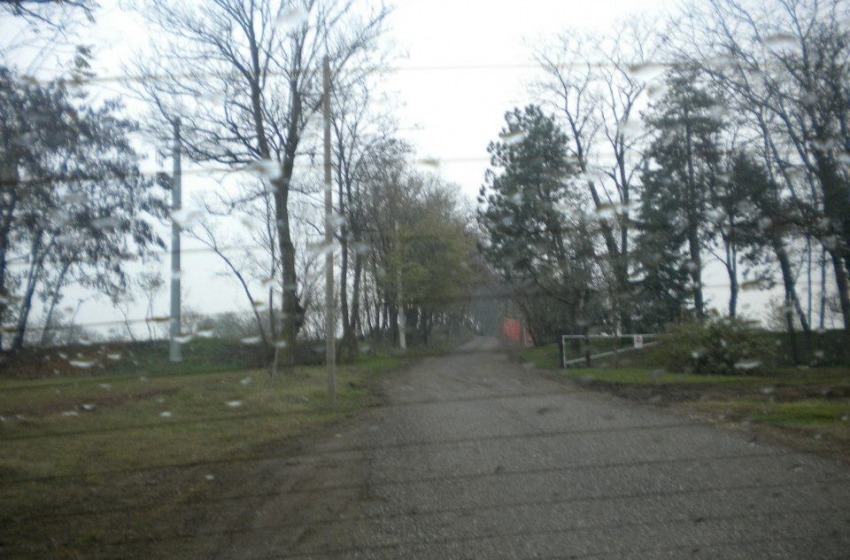 La collina della morte: Green Hill