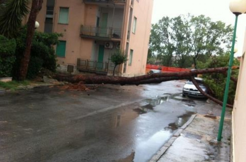 Danni del maltempo zona ospedale (via Rigopiano)