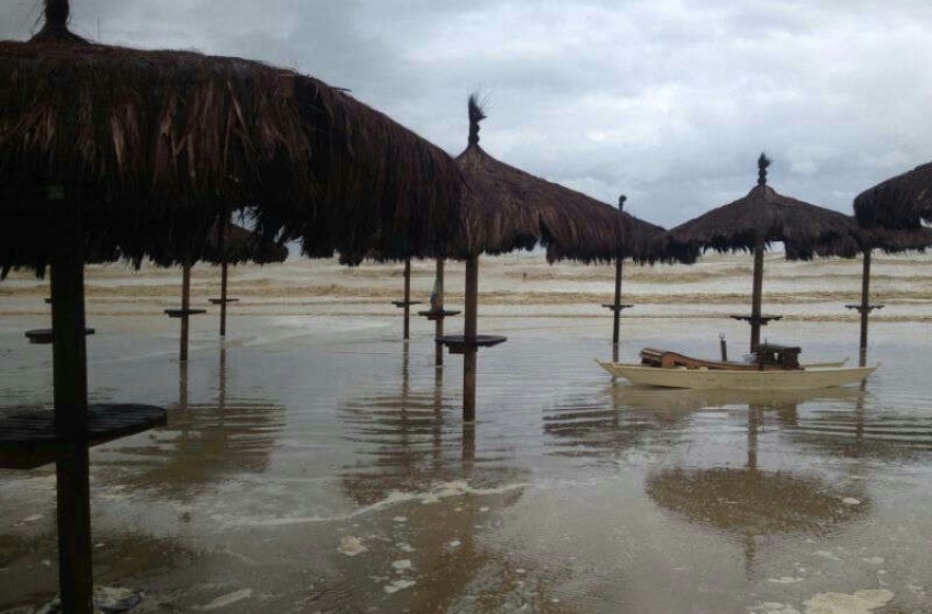 Silvi l'acqua e il mare devastano le palme
