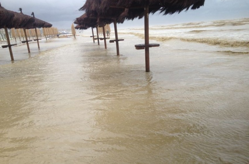 palme distrutte dal mare