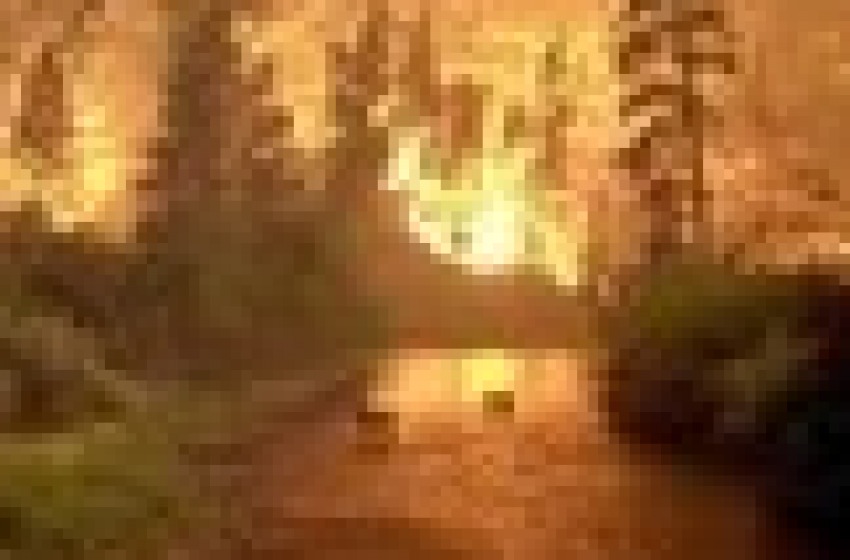 incendio in montagna