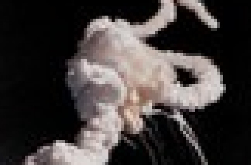 l'esplosione del challenger