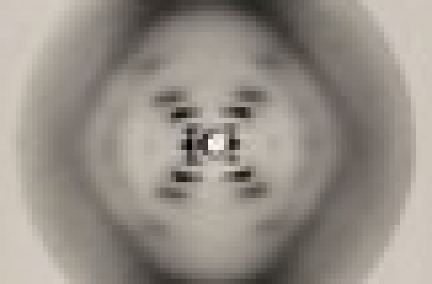 la prima foto del dna