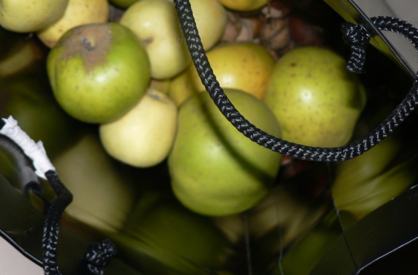 La busta contenente le mele