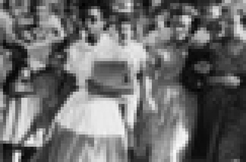 la prima tappa dell'integrazione razziale americana