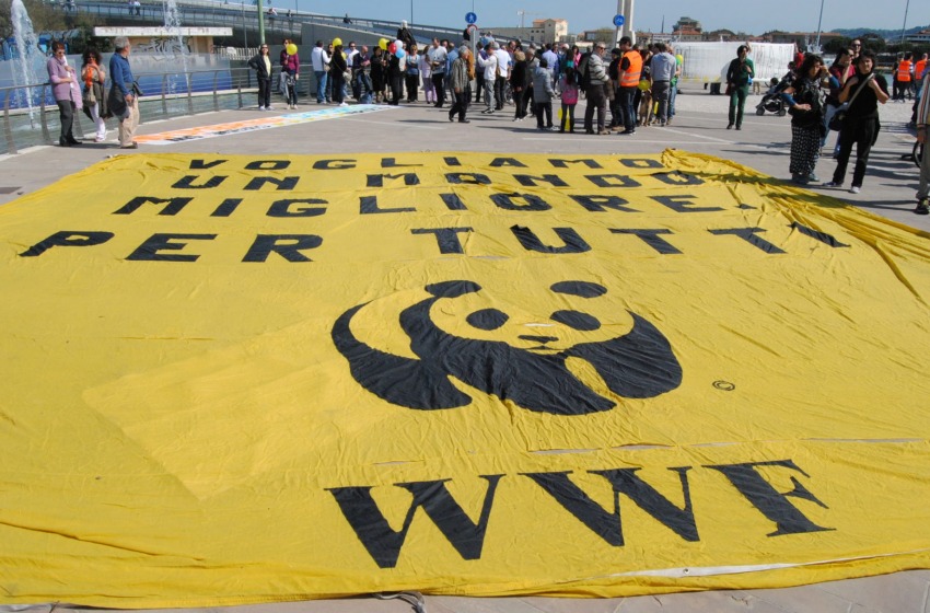dettaglio manifesto wwf