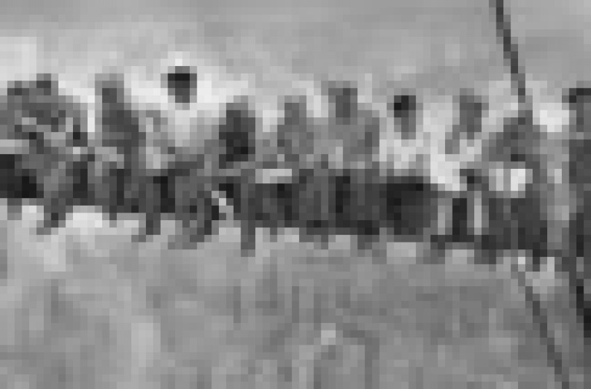 uno spuntino da brivido