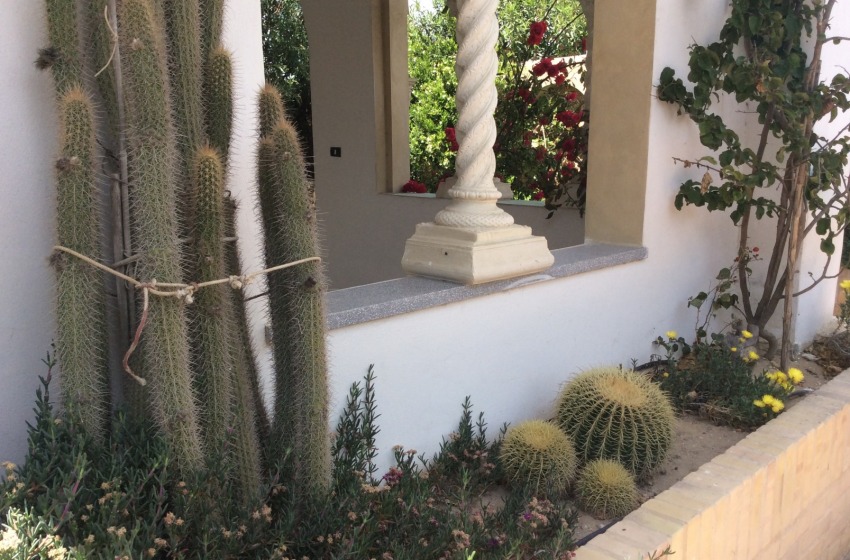 Il Circolo della Granita