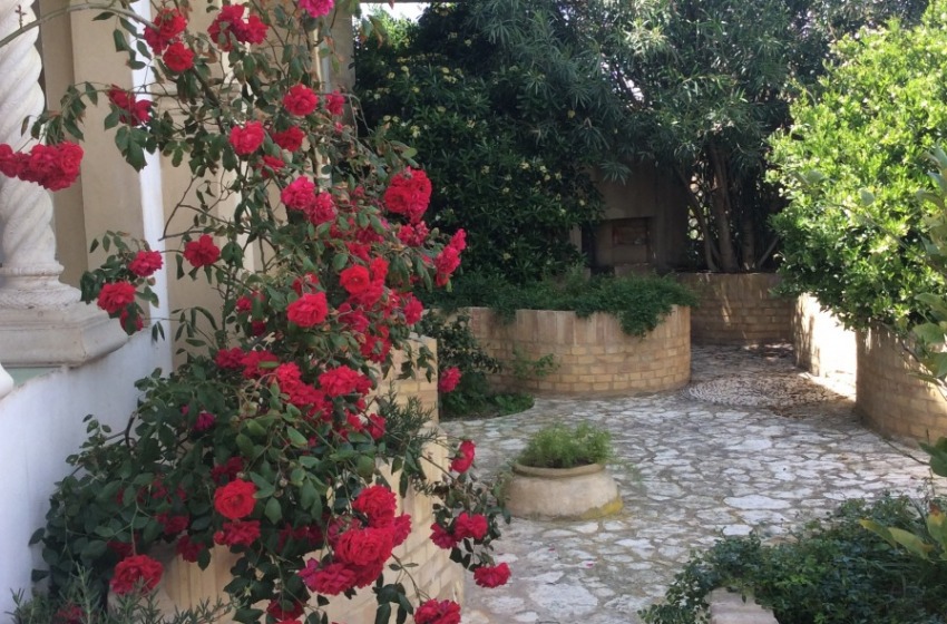 Il Circolo della Granita