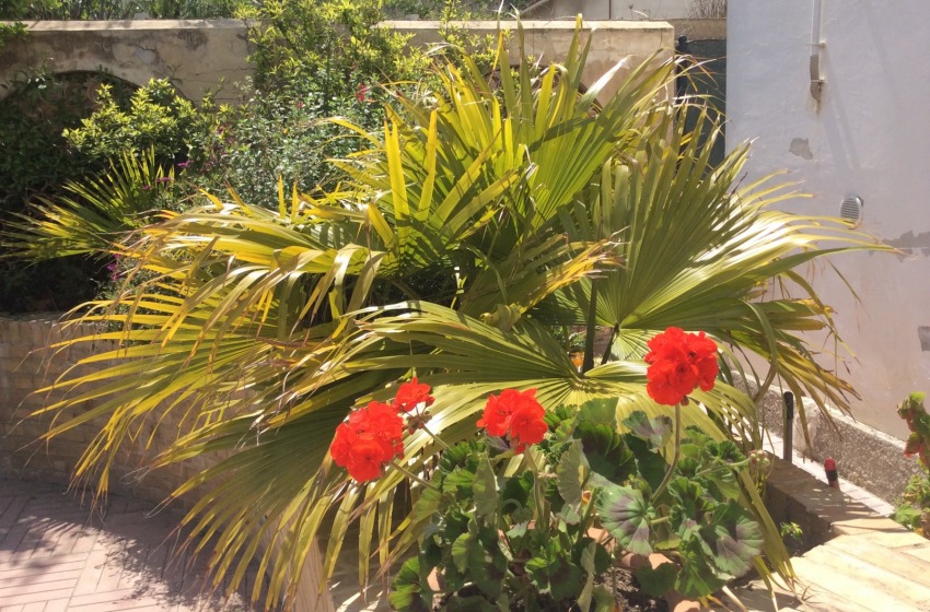 Il Circolo della Granita