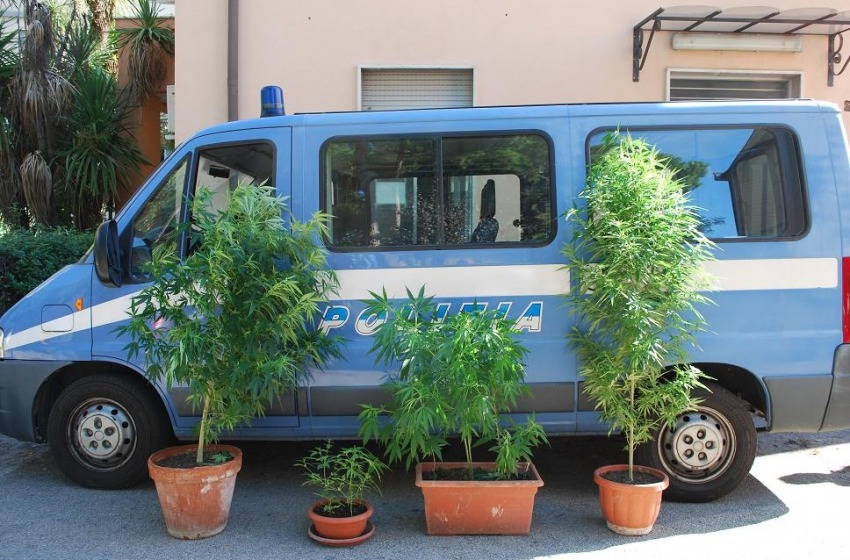 Coltivava piante di marijuana sul terrazzo: "Sono un hobby"