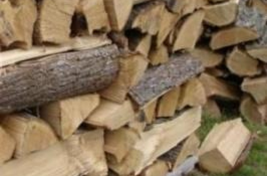 Ruba legna nel Parco della Majella, denunciato