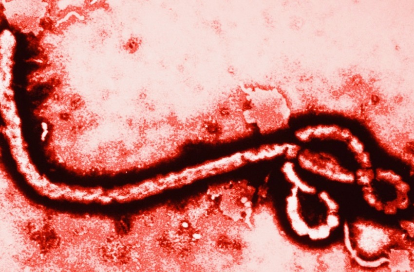 Nessun rischio Ebola all’IZS dell’Abruzzo e Molise