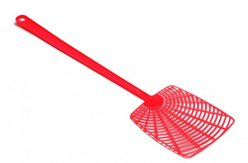 Tabaccaia allontana il rapinatore con uno scacciamosche