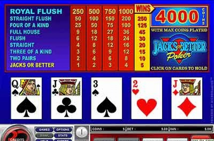 Vasto. Business videopoker