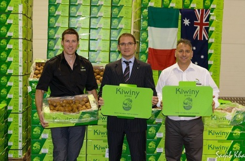 Economia: accordo commerciale Italia-Australia sui kiwi