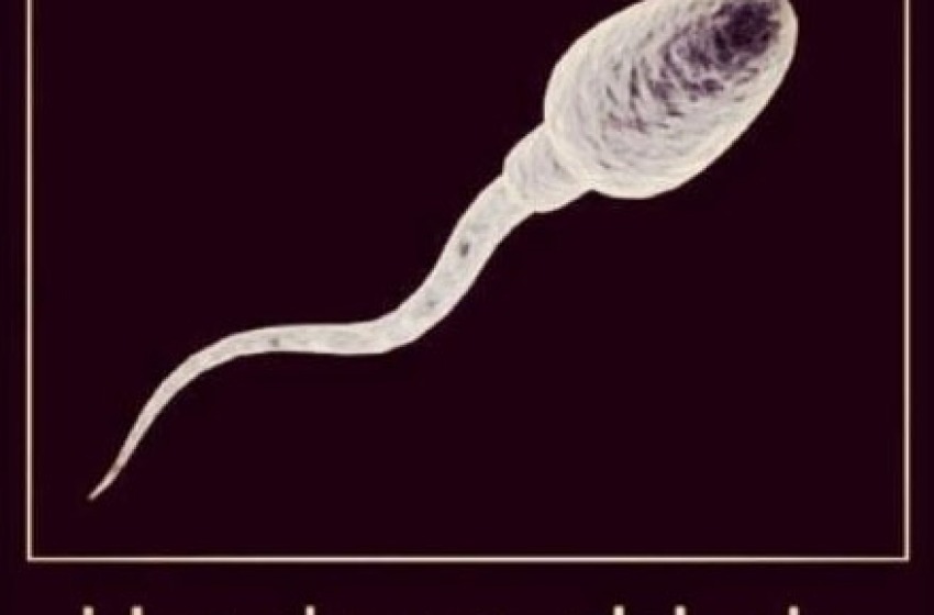 L'impenitente Miriana