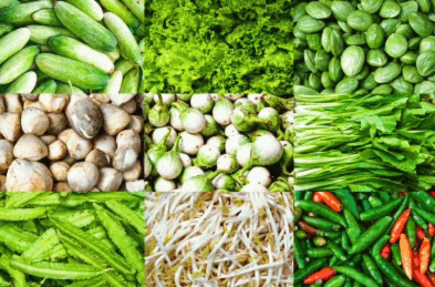 Montesilvano comune vegano, ok dalla Giunta al marchio MontesilVeg