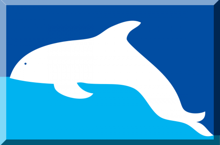 Delfino affonda all'Adriatico