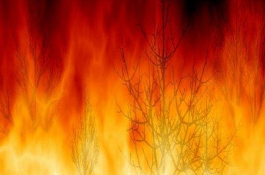 Bruciati 400 ettari d'Abruzzo: ma cosa si nasconde dietro il fuoco?