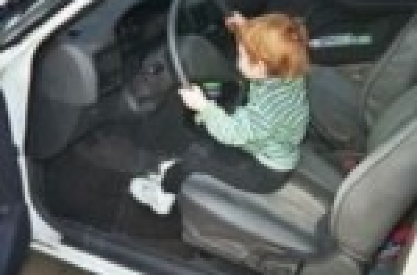 Piccoli Senna crescono