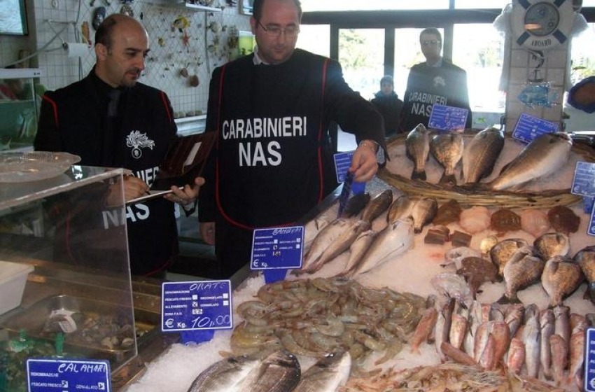 Blitz dei Nas a Pescara e Teramo: distrutti 100mil euro di prodotti ittici e dolci
