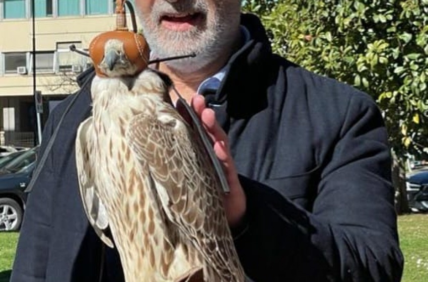 “Bird control” per allontanare piccioni e gabbiani da Pescara