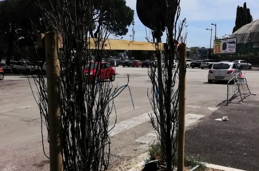 Pescara senza alberi rischia di diventare bollente