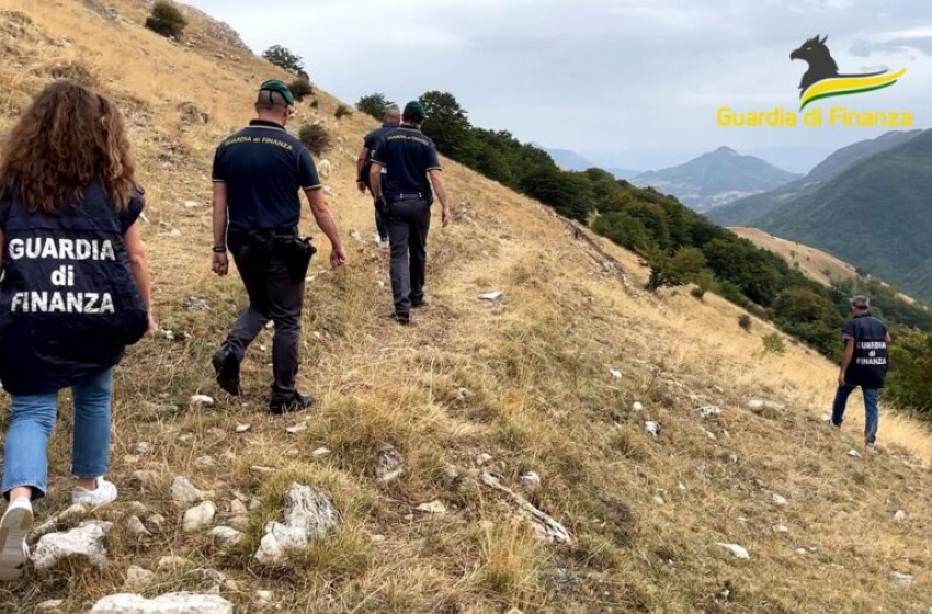 Mafia pugliese nel business dei pascoli, venticinque arresti in tutta Italia