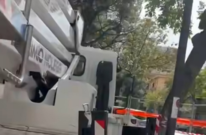 Italia Nostra: "Basta con la decimazione degli alberi"