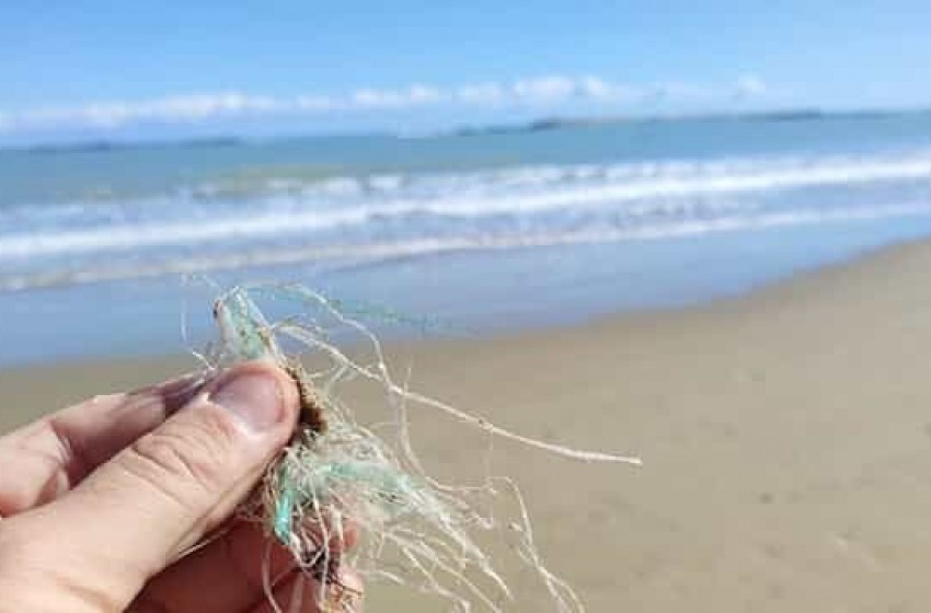 Via la plastica dalle spiagge di Pescara, il Comune incassa l'ok dei balneatori