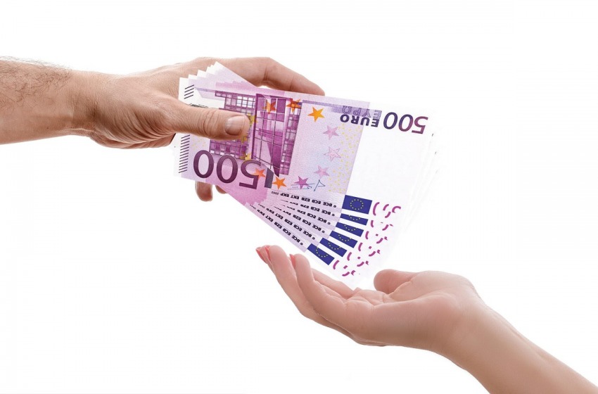 Scoperta truffa per i finti incidenti agli animali domestici 