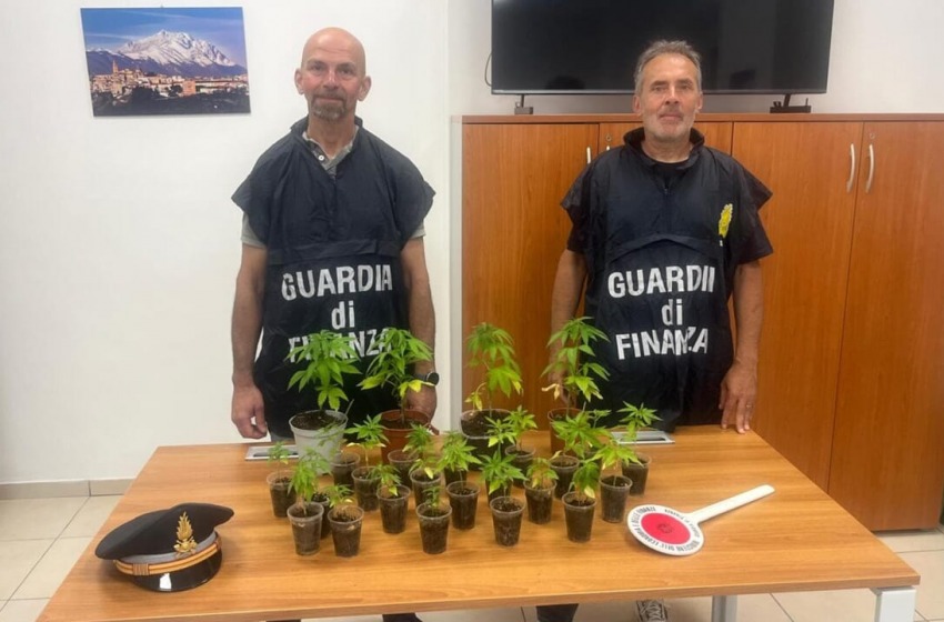 Scoperta piantagione di marijuana sul fiume Tirino