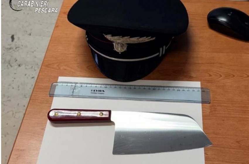 Inveisce contro i carabinieri per il controllo, nell'auto nascondeva una mannaia 