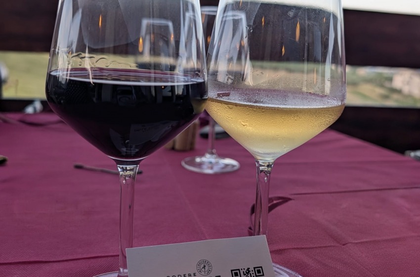Vino, la Regione approva le misure per la vendemmia 2026