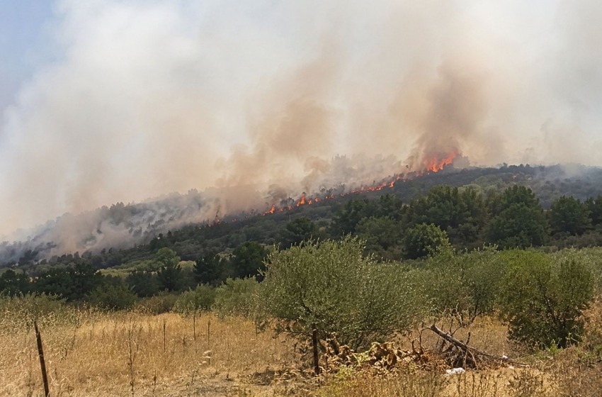Incendi nel chietino e nel pescarese, CIA: &laquo;Vicini agli agricoltori colpiti&raquo;