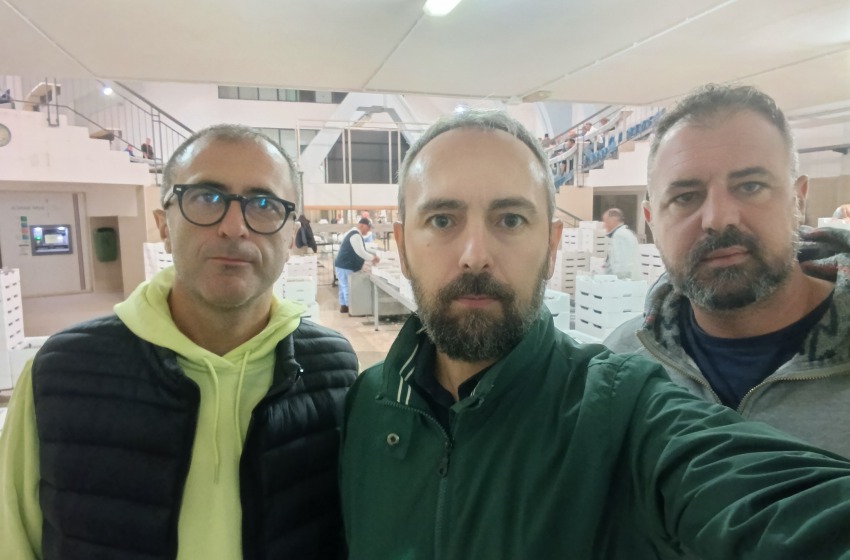 Mercato ittico di Pescara, M5S-Pd-Avs: &laquo;La marineria non &egrave; sola&raquo;