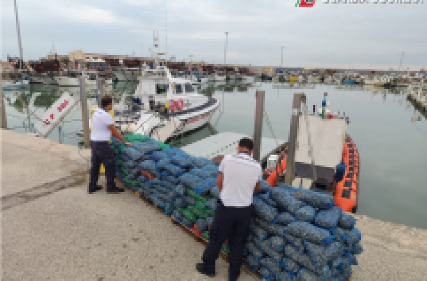 Vongole senza tracciabilit&agrave;, fermato un furgone a Martinsicuro: sequestrati 2.685 kg