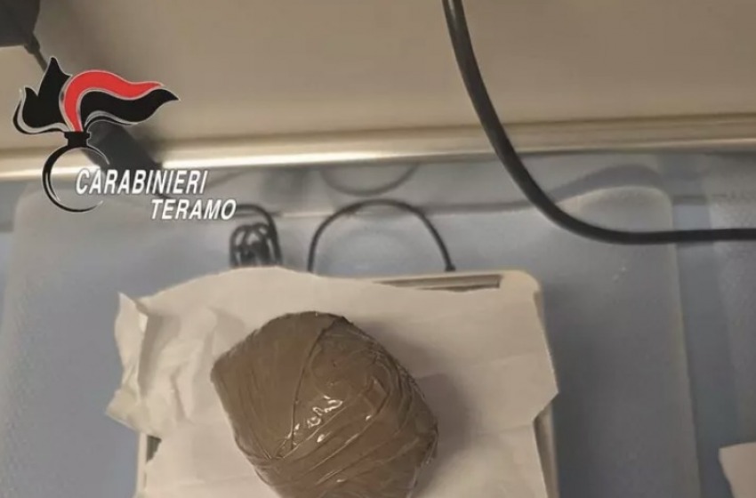 Corropoli, lagotto fiuta la cocaina al posto dei tartufi