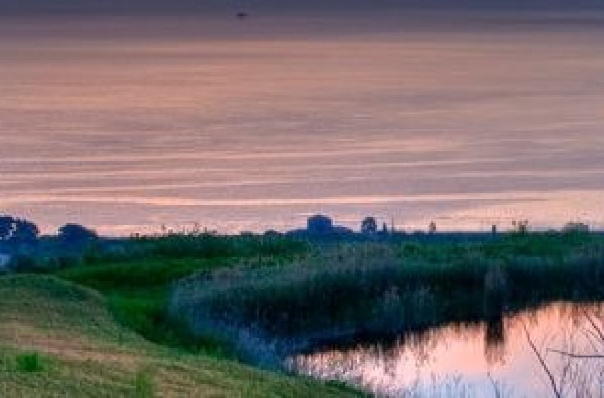 Save the Mother Earth