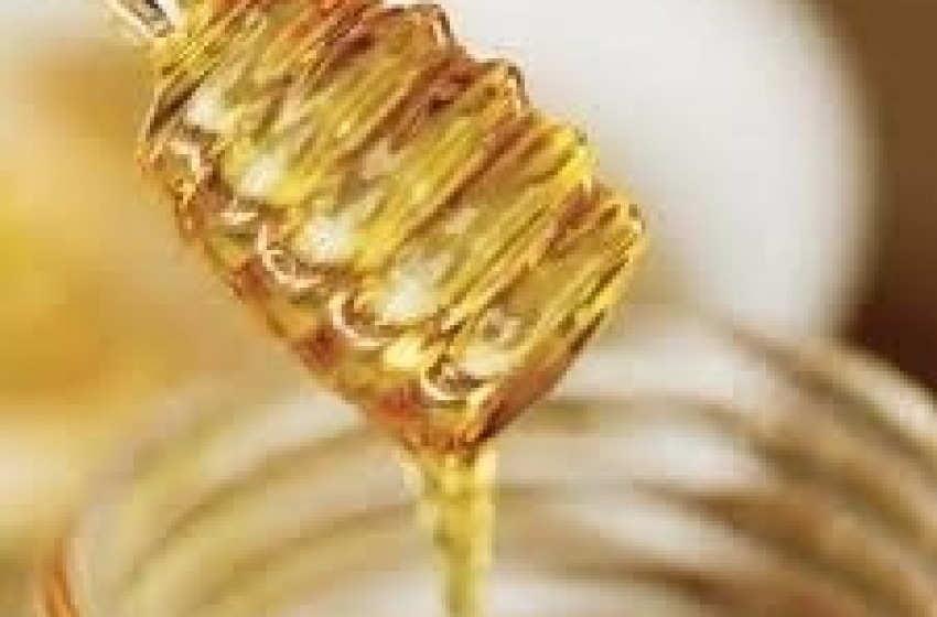 Concorso Mieli del Parco