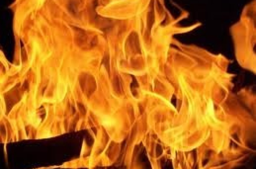 Brucia Smart per vendetta