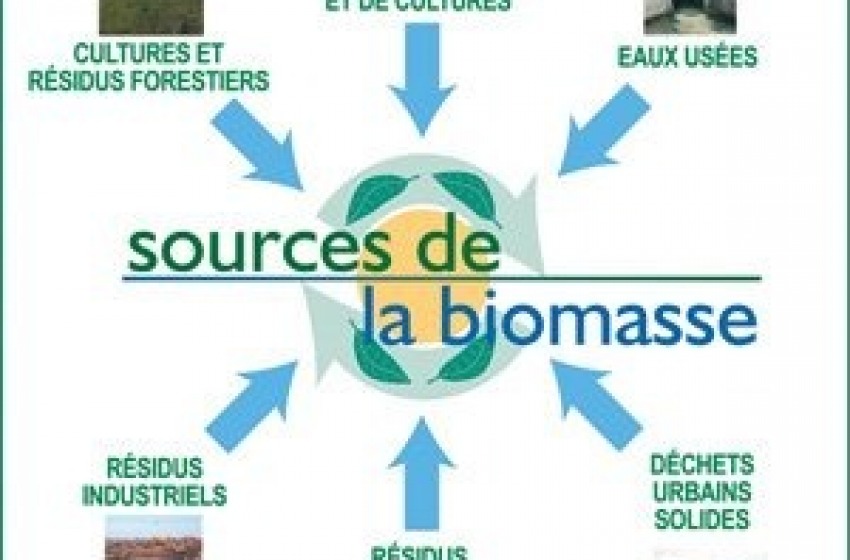 Via libera al biomasse