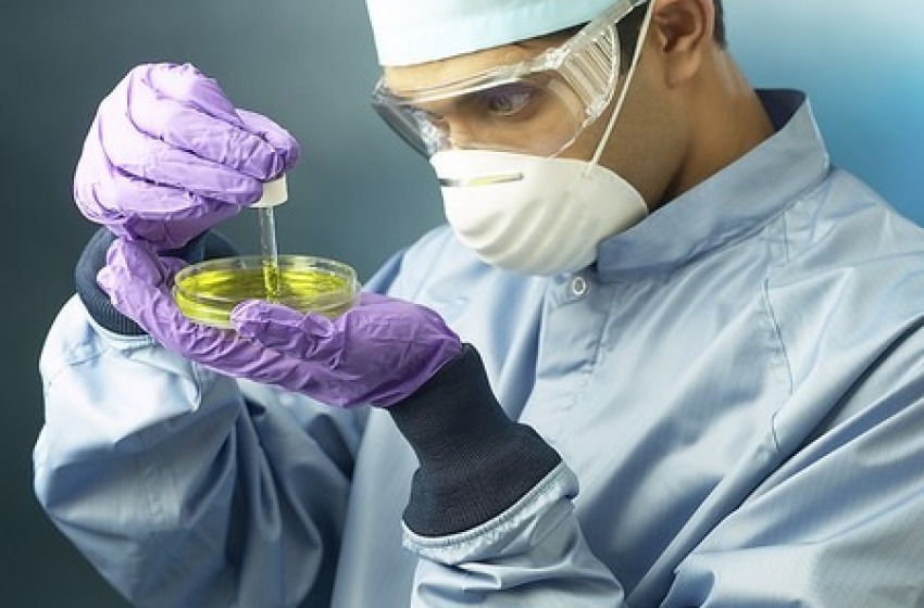 Ricerca: cornuta e mazziata