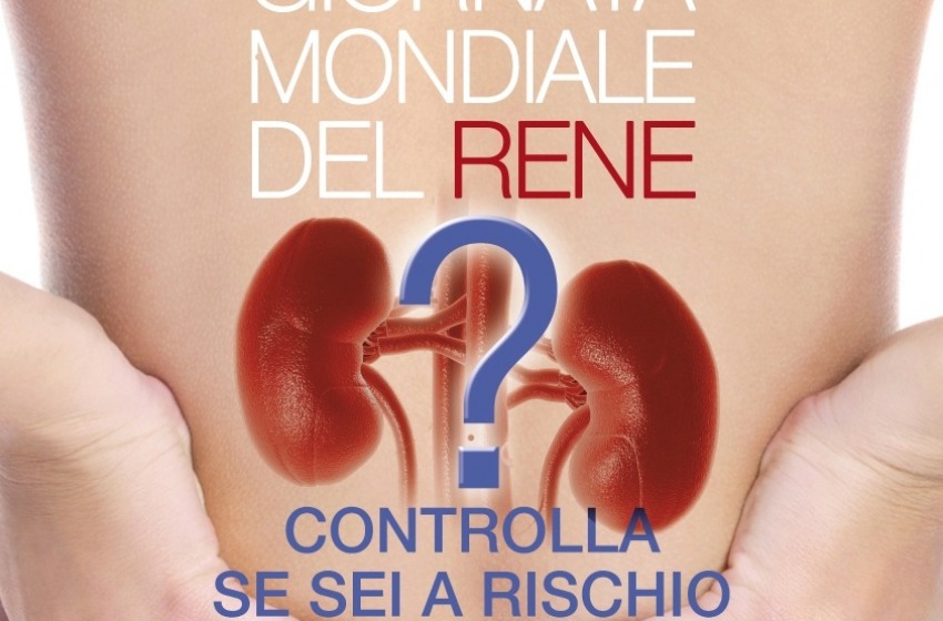 Reni: 1 su 10 è malato