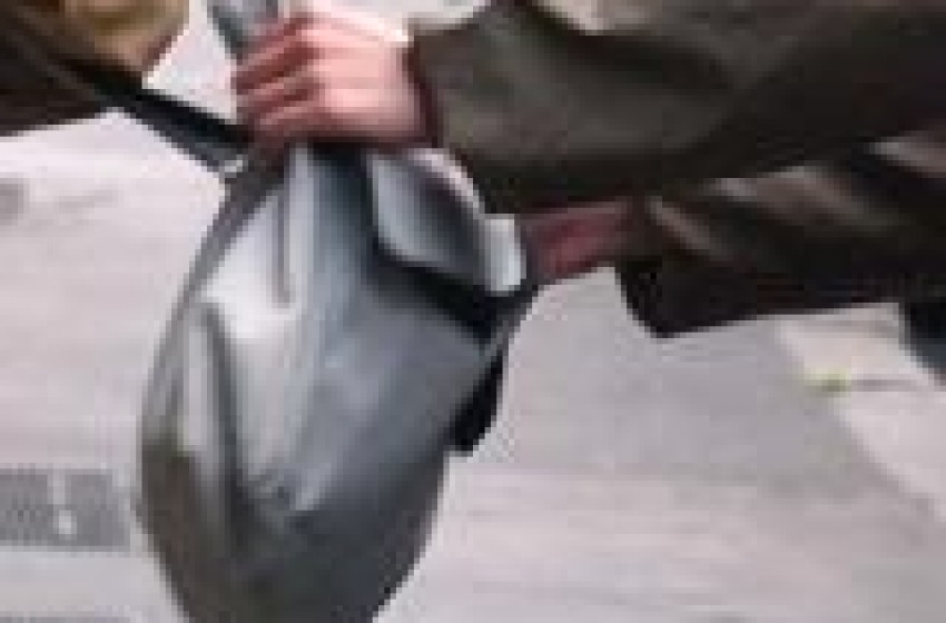 Scippatori senza vergogna