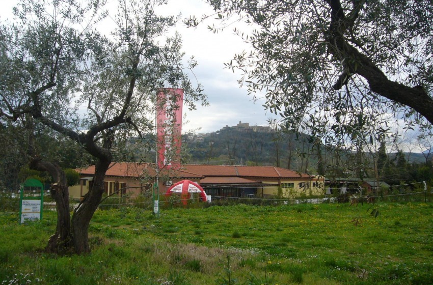 Rigoni di Asiago (Gara 12)